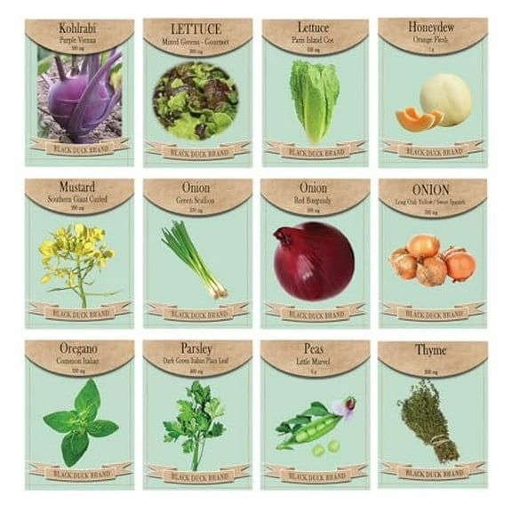 Set of 12 Flavor Explosion: Fresh Greens, Sweet Melons, and Bold Seasonings - Non GMO, Heirloom, and High Germination Vegetables and Herbs - Kohlrabi, Oregano, & Onion
