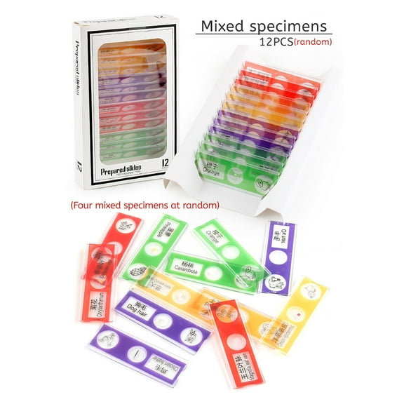Set Of 12 Prepared Microscope Slides Including Specimens Of Animals Insects Plants Flowers,Biology Learning Resources For Kids Beginner Classroom Basic Science Education