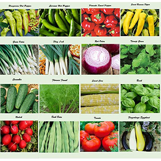 Set of 16 Assorted Organic Vegetable & Herb Seeds for Planting 16 Varieties Create a Deluxe
