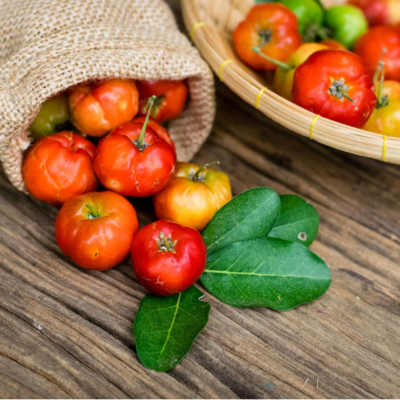 Set 2 Barbados Cherry Live Starter Plants for Planting, Acerola Cherry Fruit Plants, Sweet Cherry, Well Rooted, 4 to 6 Inch Tall, No Ship Pot