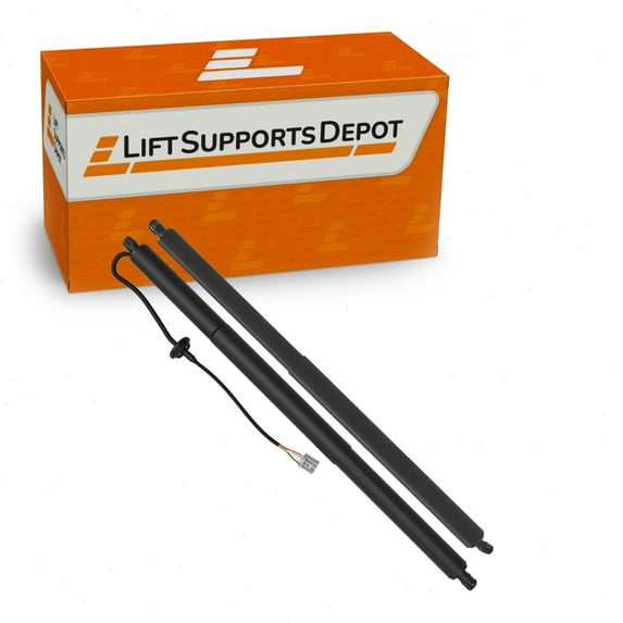 Set of 2 Compatible with Tesla 12 to 23 L& R Hatch Liftgate Trunk Support 600661000B 600660800B New for Car Gas Shock Strut - Lift Supports Depot PM10014Kit-a