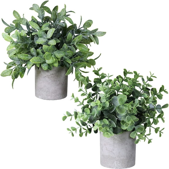 Set of 2 Faux Mini Potted Plants Artificial Eucalyptus Boxwood Plants in Pots Fake Greenery Arrangement for Rustic Farmhouse Indoor Table Centerpiece Mantel Shelf Kitchen Office Desk Decor A