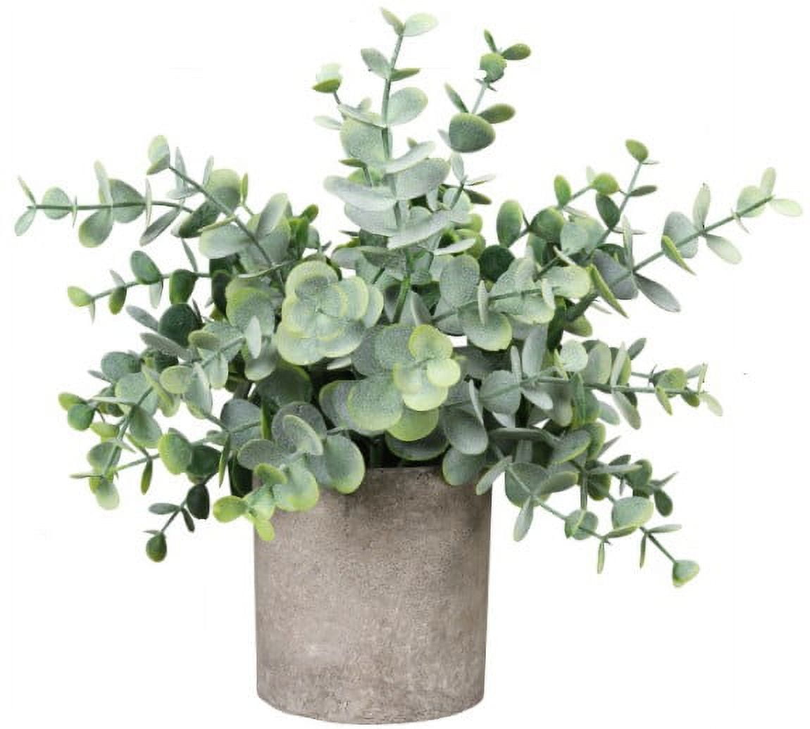 3 Pack Artificial Fake Potted Home Decor Eucalyptus Plants Mini Tree Small Pot Palm Succulents