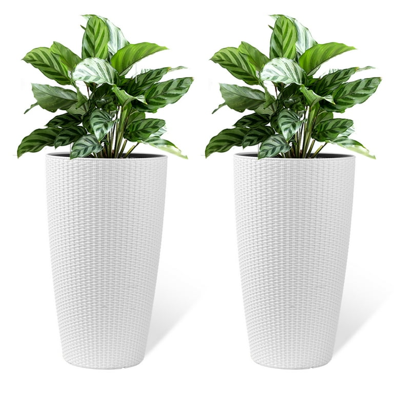 potted amaryllis plant White Alfresco Hand-Planted Amaryllis Bulb with voluminous, white blooms