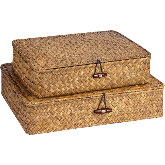 Set of 2 Flat Seagrass Storage Bins with Lid Wicker Storage Baskets for Organizing, Woven Shelf Organizer Bins Home Utility Organizer Box for Home & Office Supplies (Caramel)
