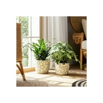 Set of 2 Flower Planters with Drainage Holes - Decorative Cement Pottery Indoor/Outdoor Planters for Home & Garden - Modern Floral Design - 9" & 7" Green