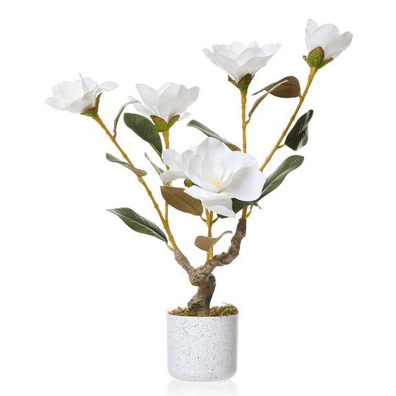 Set of 2 Realistic Magnolia & Orchid Faux Plants, 23.6in White Blooming Artificial Flower Trees in Elegant Pots for Living Room, Office or Event Styling
