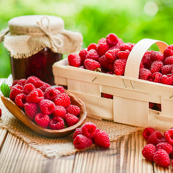 Set 2 Red Raspberry Large Plants Live for Planting, Sweet Berries Raspberry Fruit Tree, Red Raspberry Bushes Live Plants, 2-5 inch Tall