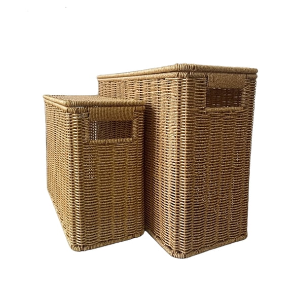 Set of 2 Slim Tall Plastic Handwoven Storage Baskets with Lids, Large & Small, Rectangular Wicker Organizer for Sofa Gap, Desktop, Shelf Narrow Space Saver brown