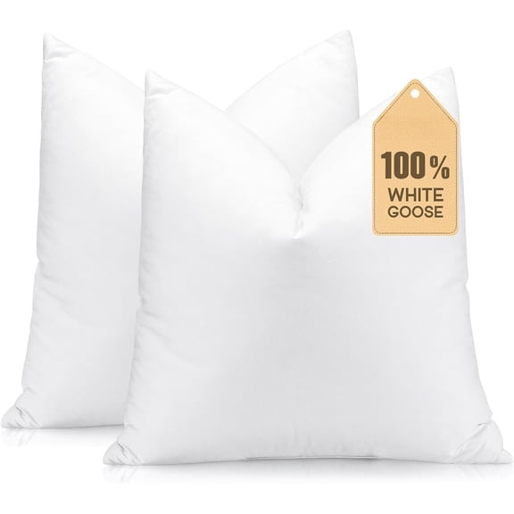 Set of 2 Down and Throw Pillow Inserts 24x24 Soft Fluffy Pillow Inserts with Down-Proof Cover, Decorative Square Cushion Inner for Sofa Couch Bed-White