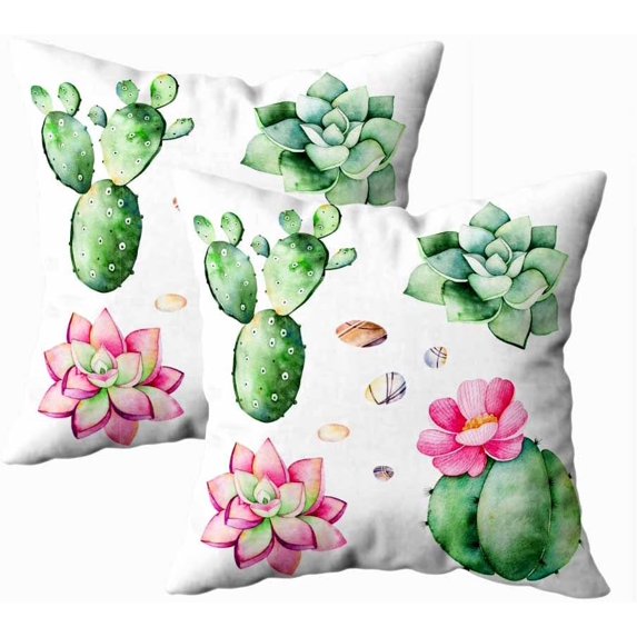 Set of 2 Watercolor Succulents Plantspebble Stonescactushandpainted Iclipart Isolated Throw Pillow Covers 18X18 Inch Decorative Pillow Cases for Couch Bedroom Living Room