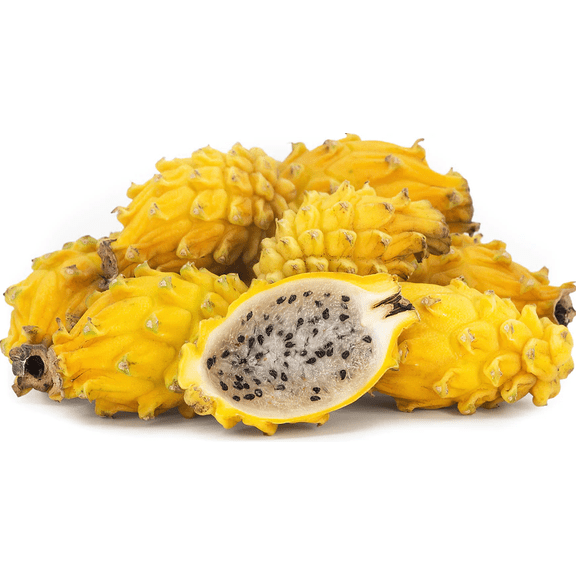 Set 2 Yellow Dragon Fruit Plant Live, Live Dragon Fruit Plant, Dragon Fruit Live Plant for Garden 3 to 6 Inch Tall