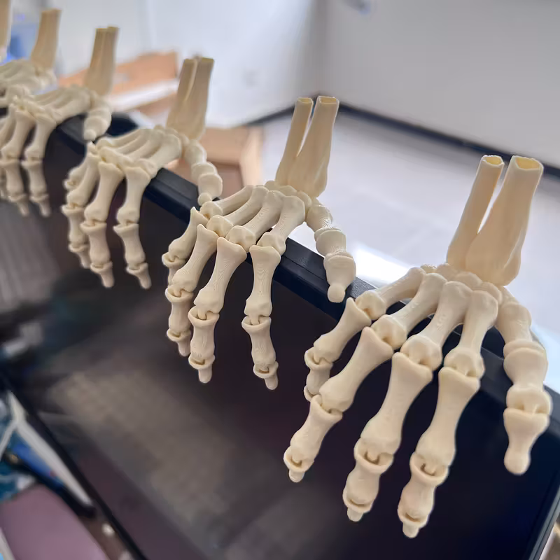 Set 2pcs 3D Printed Halloween Skeleton Hand Figurines - 9.3cm PLA Material, Home Collection Decor for Valentine, Thanksgiving, Christmas, Easter & Autumn Festivals