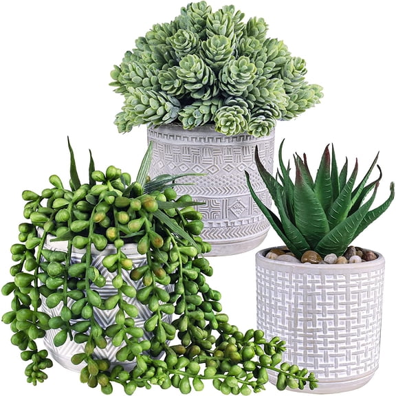 Set of 3 Assorted Small Potted Succulent Plants Fake Aloe String Pearls Hops Succulents in Gray Geometric Concrete Ceramic Pots for Gifts Modern Home Office Desk Table Indoor Outdoor Greenery Decor