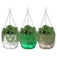 thumbnail image 1 of Scheam 3 Pack Hanging Pots with Drainage Holes,Self Watering Hanging Planters,Plastic Hanging Pot,Prefect for Spring Indoor Outdoor Garden Home Decorations (Emerald,Gray,Clear), 1 of 7