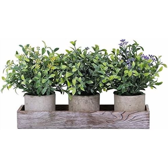 Set of 3 Mini Artificial Potted Plants Faux Seeded Boxwood Greenery Arrangement with Wood Planter Box for Indoor Office Apartment Wedding Tabletop Decorations 8.5" Tall$$Home Decor, Kitchen, & Other