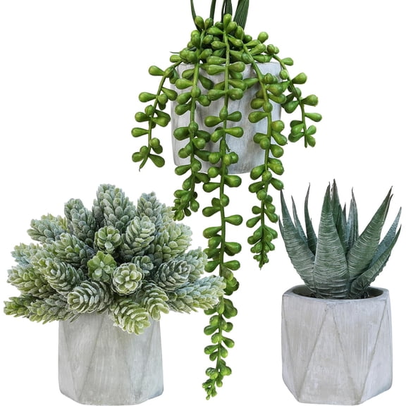 Set of 3 Mini Artificial Succulent Plants Potted Small Fake Aloe Hops String of Pearls Plants in Gray Hexagon Ceramic Pots for Modern Home Office Desk Living Room Kitchen Table Shelf Dcor