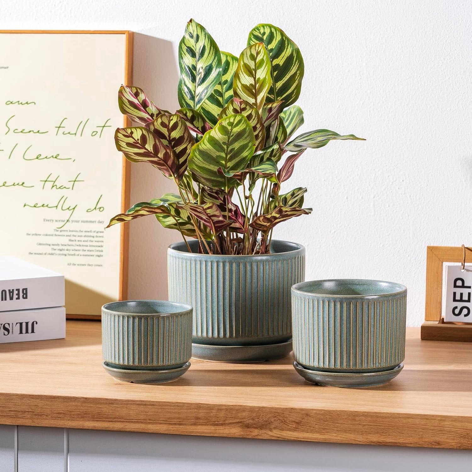 Set of 3 Speckle Gray Ceramic Plant Pots, 4.3+5.5+6.7 Inch with Drainage Hole, Saucer & Hole Pads, Striped Decorative Planter for Indoor Plants and Gardening