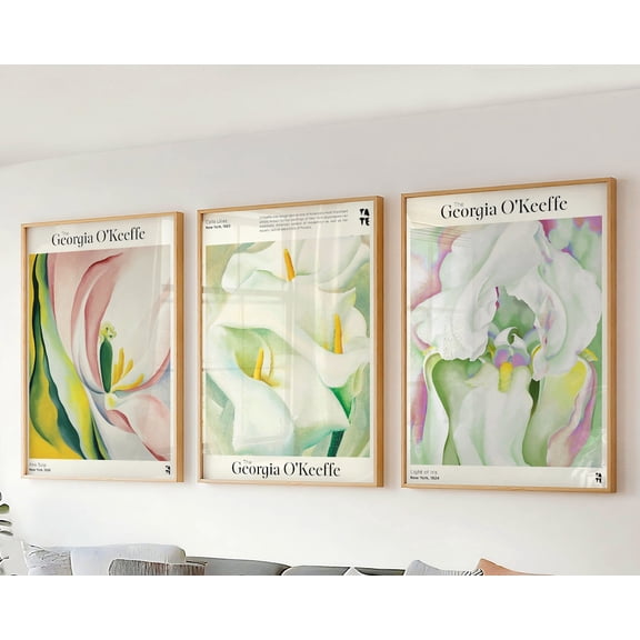 Set of 3 Wall Art Georgia O'Keeffe Prints White Pink Flower Triptych Wall Art Large Modern & Contemporary Botanical Decor Living Room, Stretched Canvas