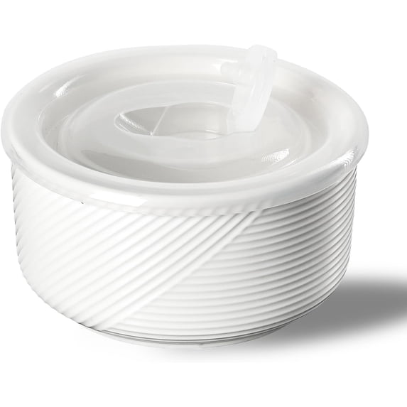 Ceramic Bowls with Airtight Lids Microwave Safe Food Storage Containers for Soup Salad Cereal Leftovers Meal Prep Lunch Picnic Camping Serving Multicolor