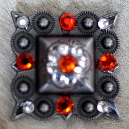 Set 4 Conchos Rhinestone Horse Saddle Western Bridle Berry Co374