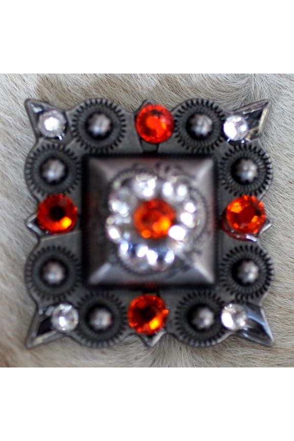 Set 4 Conchos Rhinestone Horse Saddle Western Bridle Berry Co374