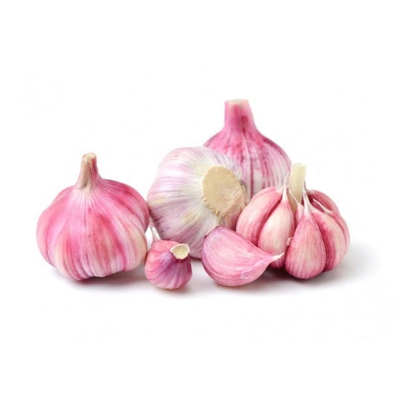 Set 4 Large Chesnok Red Garlic Cloves Hardneck Garlic Bulbs for Planting, Heirloom Vegetable