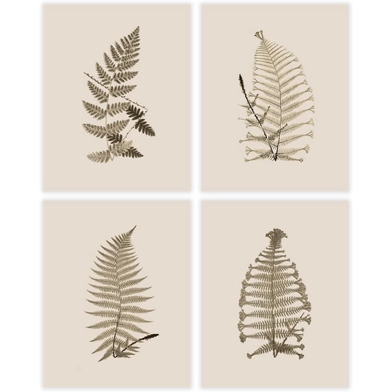 Set of 4 Vintage Fern Print Wall Art for Bedroom, Beige Ferns Pictures for Living Room, Cute Fern Pictures for Bathroom Walls, Ferns Botanical Leaves Home Office Art (8 x 10)