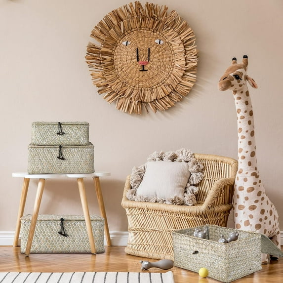 Set of 4 Wicker Storage Baskets Organizer, Handwoven Storage Bins with Lid for Organizing, Home Utility Box for Home Office Supplies Multipurpose Container(White)