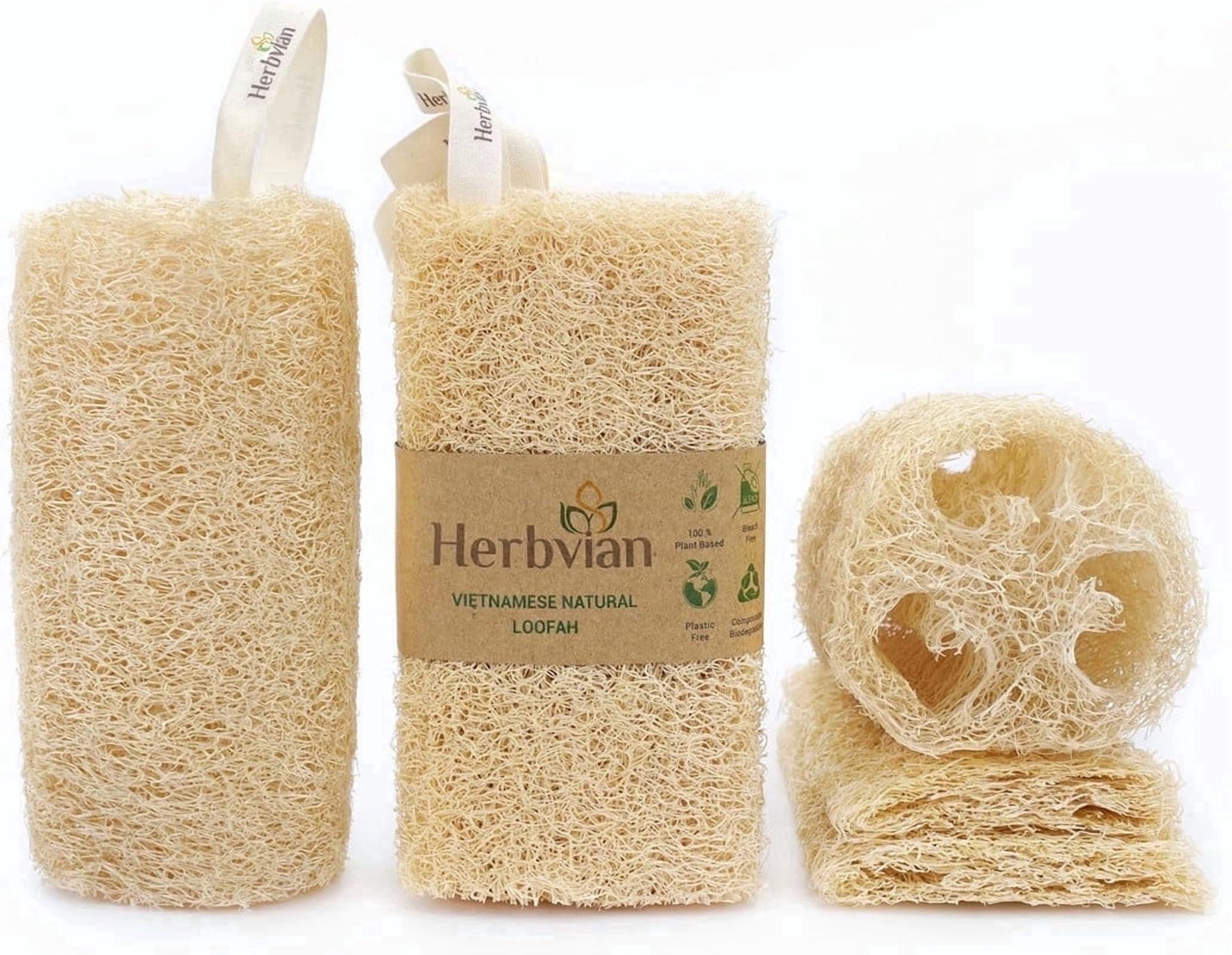 Kitchen Luffa Set 4Pcs Natural Vietnamese Loofah Sponge, 100% Plant-Based Luffa ...