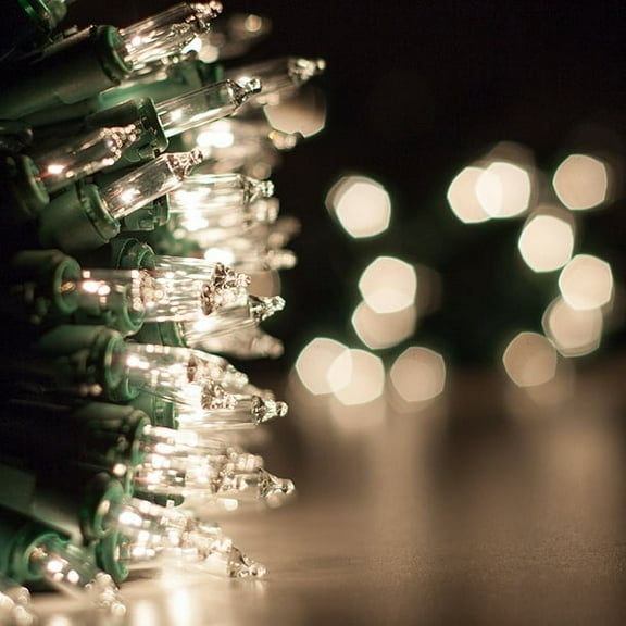 Set of 50 Clear Christmas Twinkle Mini Lights 6" Spacing Green Wire 25.5 ft, End to End Connectible Indoor Outdoor Tree Lights Home Seasonal Holiday Decorations