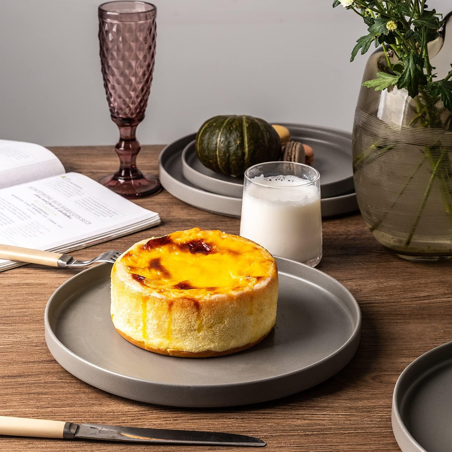 Set of 6 Ceramic Dinner Plates LeadFree, Biodegradable, Matte