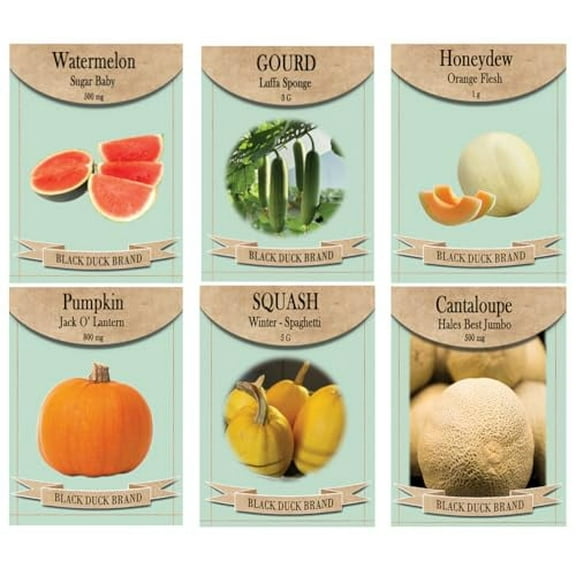 Set of 6 Melon & Gourd Garden Seed Collection Grow Sweet Melons, Pumpkins, and Unique Gourds Non-GMO, Heirloom, High Germination Cantaloupe, Watermelon, Luffa & More