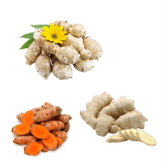 Set 9 Mixed Garden Bulbs, 3 Jerusalem Artichoke Tubers, 3 Orange Turmeric Roots and 3 White Ginger Roots