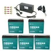 Set of Five 12V 20Ah 6-DMF-20 Sealed Lead Acid Battery with 60V Battery Ch for Motorcycle Electric Go Kart Electric Bicycle Tricycle 4 Wheelers ATV Quad Trikes Mobility Scooter