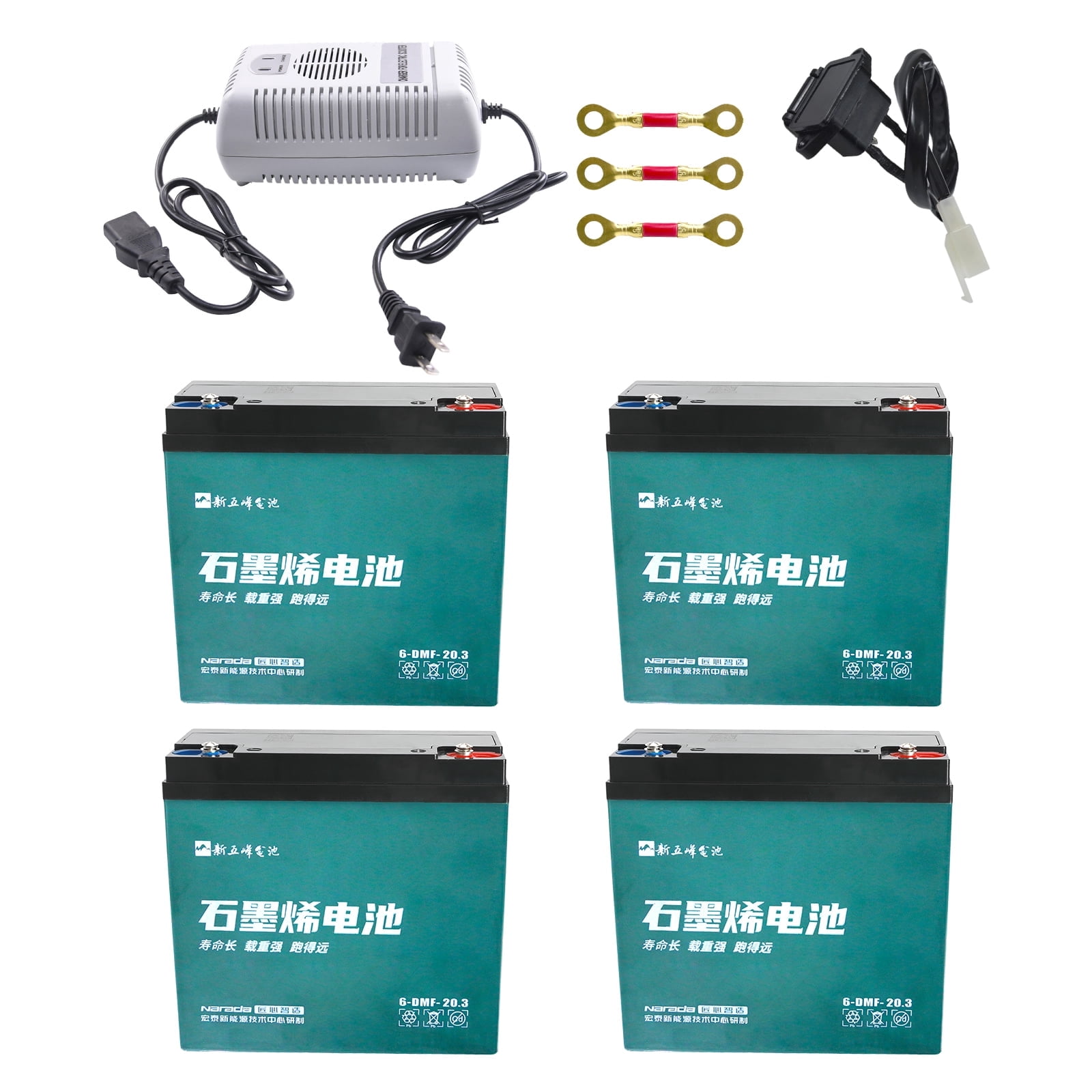 Set of Four 12V 20Ah 6-DMF-20 Sealed Lead Acid Battery 6-DZM-12 with 48V Battery Ch for Motorcycle Electric Go Kart Electric Bike Bicycle Tricycle 4 Wheelers ATV Quad Trikes Mobility Scooter