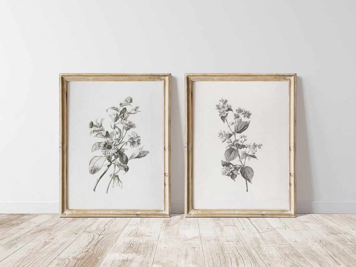 Set Of 2 Botanical Sketch Wall Art Prints, Vintage Country, Simple ...