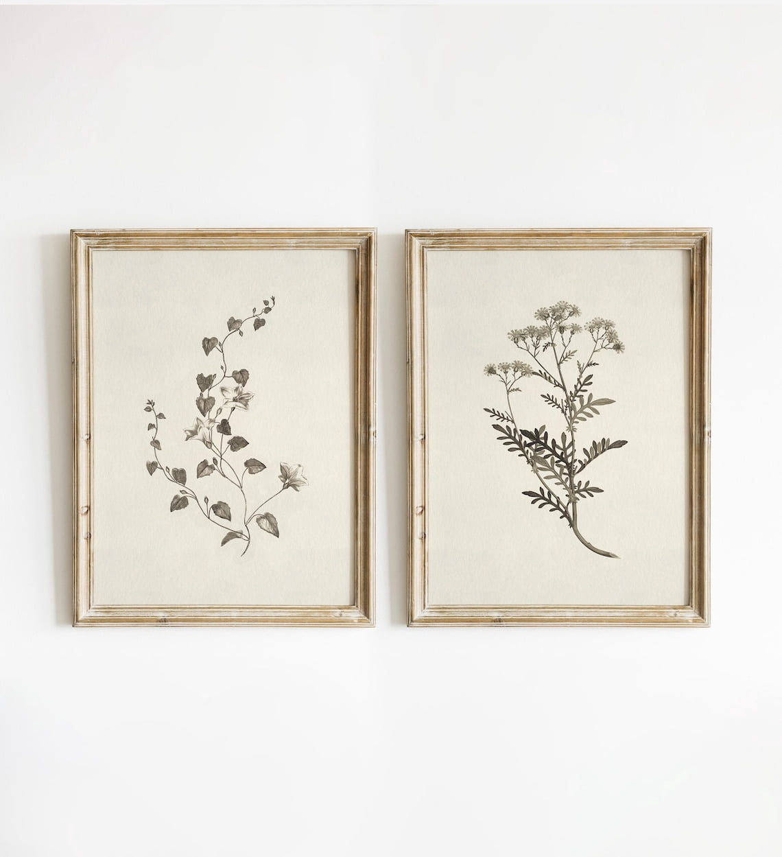Set Of 2 Botanical Wall Art Prints, Vintage Floral, Farmhouse ...