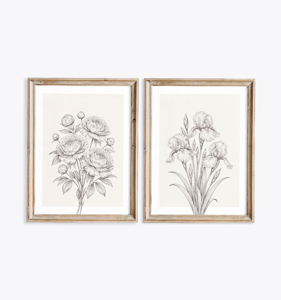 Set Of 2 Peonies And Iris Line Wall Art Prints, Vintage Botanical ...