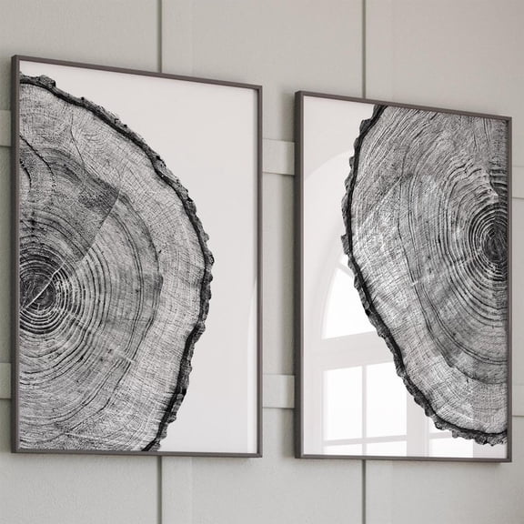 Set Of 2 Tree Rings Stump Black And White Wall Art Prints, Living Room And Gallery Wall Decor