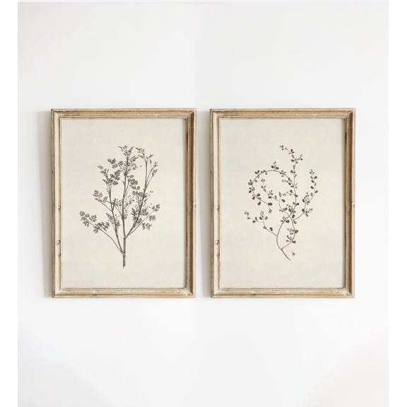 Set Of 2 Retro Floral Olive And Rust Botanical Wall Art Prints, Mid ...