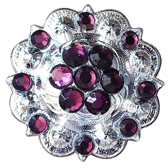 Set Of 2 Western Screw Back Concho Amethyst Crystal 1-1/4In. Saddle