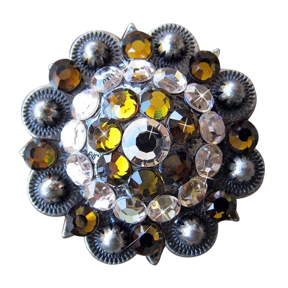 Set Of 2 Western Screw Back Concho Antique Silver Finish Crystal Bling