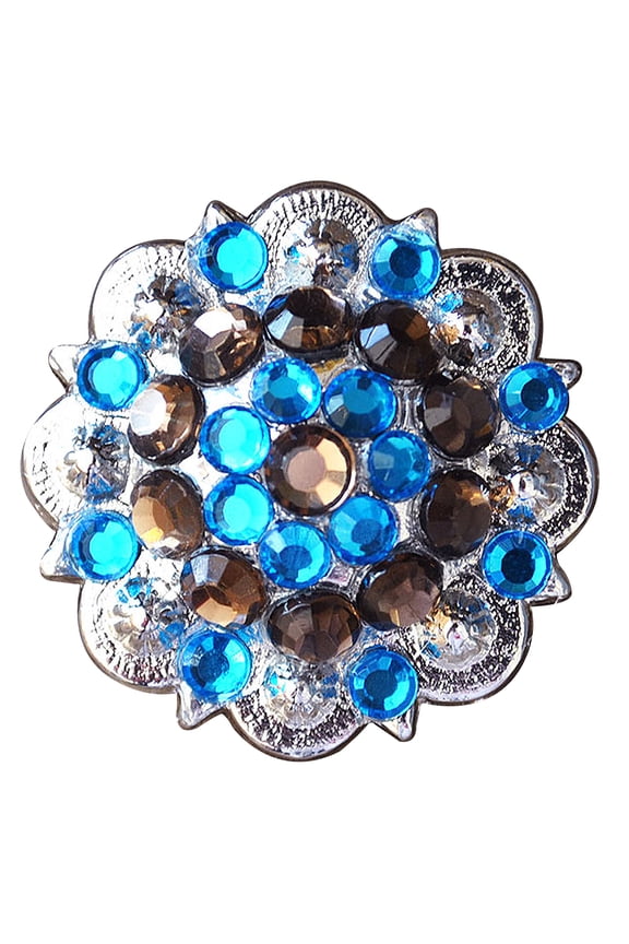 Set Of 2 Western Screw Back Concho Blue Brown 1-1/4In Saddle Cowgirl