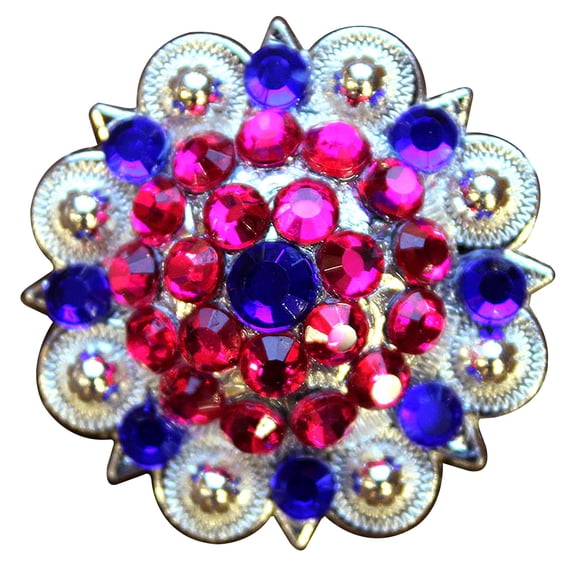 Set Of 2 Western Screw Back Concho Blue Pink Crystal 1-1/4In Berry Saddle