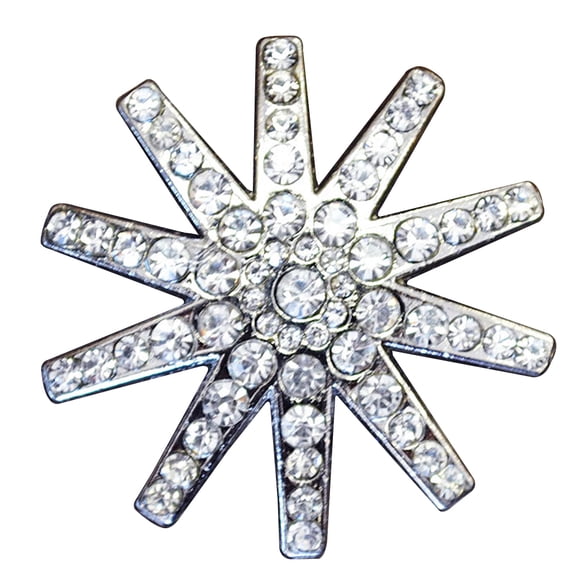 Set Of 2 Western Screw Back Concho Clear Spur Bling Headstall Cowgirl