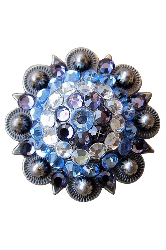 Set Of 2 Western Screw Back Concho Iris Sapphire Berry Crystal Cowgirl