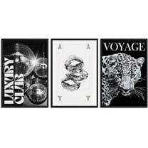 Set Of 3 Black And White Cheetah Wall Art, Fashion Cheetah Poster Canvas Prints, Disco Ball Decor For Family Bedroom Dormitory Room