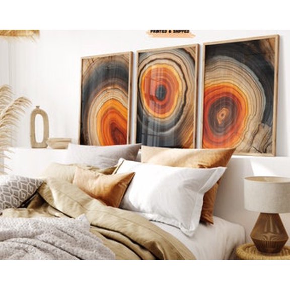 Set Of 3 Boho Tree Slice Shapes Abstract Wall Art Prints, Black And Orange Nordic, Mid Century, Rings, Modern Living Room And Office Decor