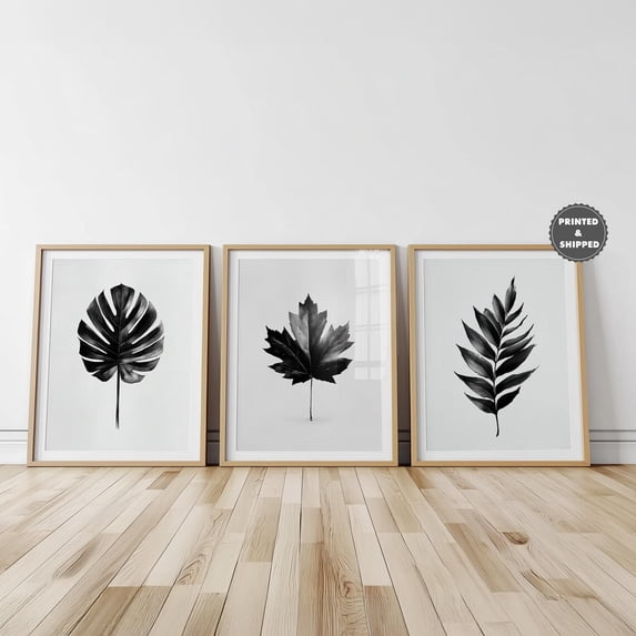 Set Of 3 Minimal Black And White Botanical Floral Wall Art Prints ...